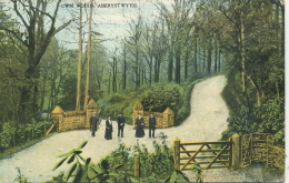 CARDIGANSHIRE - ABERYSTWYTH - CWM WOODS  1905 Dyf31 - Cardiganshire