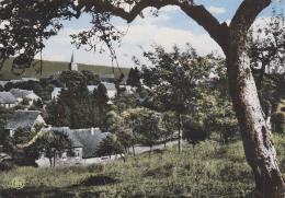 Belgique - Daverdisse Sur Lesse - Panorama - Daverdisse