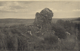 Belgique - Lierneux - Rocher De La Talhotte - Géologie - Curiosité - Lierneux