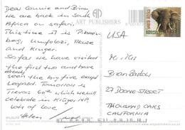 RSA South Africa 2004 Nelspruit Elephant Lion Airmail Viewcard Rate - Cartas & Documentos
