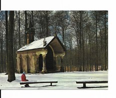 HOEILAART / HOEILAERT (1560) : Chapelle Notre-Dame De Bonne Odeur (ChOnapelle Welriekende), En Forêt De Soignes. CPSM. - Höilaart