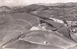 Blankenhornsberg Post Und Bahn Ihringen - Ihringen