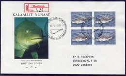 GREENLAND 1981 Fish Definitive 25 Kr In Block Of 4 On FDC.  Michel  129 - FDC