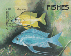 Poissons Fische Vissen Sheet Afghanistan 1998 OBLITÉRÉ-USED-GESTEMPELD - Fishes