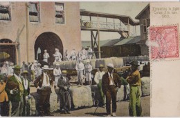 PANAMA - Preparing To Fight Colon 5th Nov. 1903 - HISTOIRE - CPA TBon Etat (voir Scan) - Panama