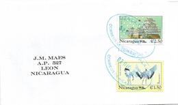 Nicaragua 2010 Tienda Crane Grus Japonensis Phila Nippon Cover - Aves Gruiformes (Grullas)