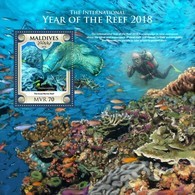 Maldives 2018, Year Of The Reef, Fishes, Diving, BF - Tauchen