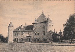 DOUVAINE Le Chateau De Troches 273J - Douvaine