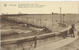 Zeebrugge - Vue Générale Du Môle Et De La Rade - Edition J. Revyn - Zeebrugge