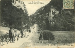 39 - Orgelet - Environs D' Orgelet - Le Défilé De La Tour Du Meix - Orgelet