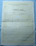 1970-80 Yugoslabvia Socialist BIRTH CERTIFICATE UNUSED - Birth & Baptism