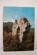 NANS-LES-PINS      -      Les  Ruines Du Vieux Village   -  ( Pas De Reflet Sur L'original ) - Nans-les-Pins