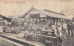 SINGAPOUR, Malaisie Et Inde. Ensemble 62 Cartes Postale - Wereld