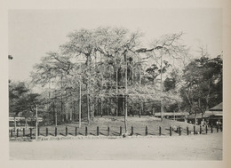 [JAPON] ALBUM OF THE PHOTOGRAPHIES OF KIOTO. 1913. - Autres & Non Classés