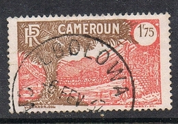 CAMEROUN N°146  Belle Oblitération De EBOLOWA - Used Stamps