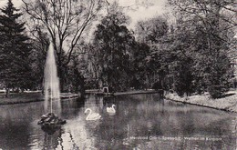 AK Herzbad Orb Im Spessart - Weiher Im Kurpark - 1961 (36744) - Bad Orb