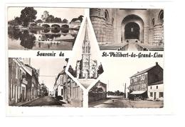 SOUVENIR DE ST PHILIBERT DE GRAND LIEU - MULTI VUES - Saint-Philbert-de-Grand-Lieu