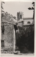 CPSM  84 ENTRAIGUES ENTRAIGUE CLOCHER DE L'EGLISE GENRE CARTE-PHOTO - Entraigue Sur Sorgue