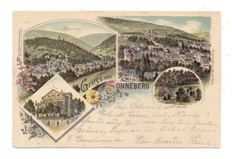 0-6400 SONNEBERG, Lithographie 1899, Schlossberg, Kaltwasser-Heilanstalt, Luther-Häuschen, Panoramaansicht - Sonneberg