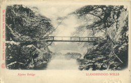 RADNORSHIRE -  LLANDRINDOD WELL - ALPINE BRIDGE - UNDIVIDED BACK  Pow6 - Radnorshire