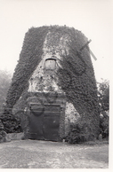 AARTRIJKE MOLEN / MOULIN -Originele Foto Jaren '70 ( A.Carre) 2 - Zedelgem