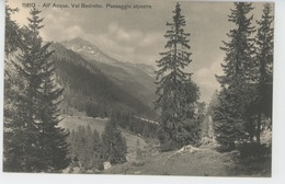 SUISSE - TESSIN - All'Acqua - Val Bedretto - Paesaggio Alpestre - Bedretto