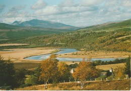 (ANG644) STRATHKYLE, BEN MORE ASSYNT AND THE KYLE OF SUTHERLAND - Sutherland