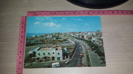 C-61271 MANFREDONIA VIALE SIPONTINO PANORAMA AUTOMEZZI D'EPOCA - Manfredonia