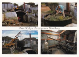 Emu Ridge Eucalyptus Distillery, Kangaroo Island, South Australia - Posted 2007 With Stamp - Kangaroo Islands