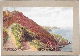 ILFRACOMBE - ANGLETERRE - CPA COLORISEE TRES RARE - THE TORRS WALKS - DELC4 - - Ilfracombe