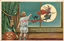 282137-Halloween, Anglo-American No 876/5, Child Waving At Witch & Black Cat On Broom - Halloween