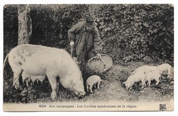 CPA LOT NOS CAMPAGNES Les Familles Nombreuses De La Région N° 6024 - Altri & Non Classificati