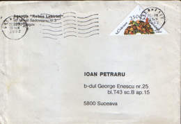 Romania - Letter Circulatid In 2002 -stamps With Christmas - Briefe U. Dokumente