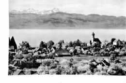 GERMANY-  VINTAGE POSTCARD - WASSERBURG (BODENSEE) MIT SWEIZER ALPEN -SHINING . NEW POST 7338 - Wasserburg A. Inn