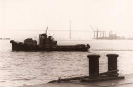 Lisboa - REAL PHOTO - Rebocador - Ponte 25 De Abril - Rio Tejo. Barco Navio Tug Boat Ship Remorqueur Bateau Almada. - Tugboats