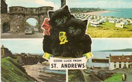 - GOOD LUCK FROM ST. ANDREWS - - Fife