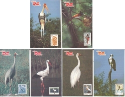 India  1990's  Bird Stamps Printed  6  Post Cards  Without Stamps   #  14494    D Inde - Grues Et Gruiformes