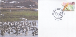 India  2017  Birds   Gharana Wetland  Jammu  Special Cover   #  14764   D Inde  Indien - Albatros