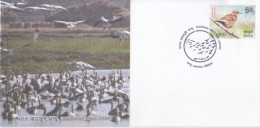 India  2017  Birds   Gharana Wetland  Jammu  Special Cover   #  14763   D Inde  Indien - Albatros