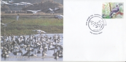 India  2017  Birds   Gharana Wetland  Jammu  Special Cover   #  14762   D Inde  Indien - Albatros