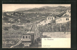AK Madeira, Bergbahn Inmitten Des Ortes - Madeira