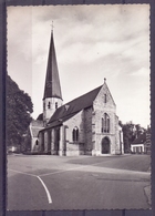 Bazel  - ST. Pieterskerk ( 14 Eeuw ) Echte Foto - Kruibeke