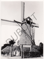 Vinderhoute MOLEN / MOULIN -Originele Foto Jaren '70 ( A.Carre) 11 - Lovendegem