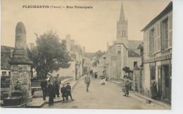 PLEUMARTIN - Rue Principale - Pleumartin