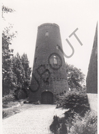 Stabroek MOLEN / MOULIN -Originele Foto Jaren '70 ( A.Carre) 15 - Stabrök