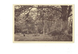 Cpa - 14 - Herouville - Maison De Convalescence - Vue Sur L'île - Religieuse - Herouville Saint Clair