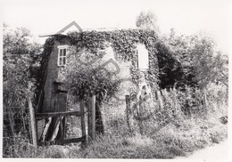 Weert MOLEN / MOULIN -Originele Foto Jaren '70 ( A.Carre) 29 - Bornem