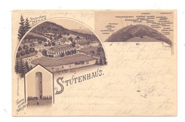 0-6056 SCHLEUSINGEN - ST. KILIAN, Gruss Aus Stutenhaus, Lithographie 1898 - Schleusingen