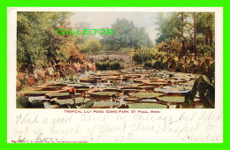 ST PAUL, MN - TROPICAL LILY POND, COMO PARK - HAMMON PUB. CO - TRAVEL IN 1906 - UNDIVIDED BACK - - St Paul