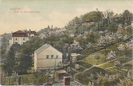 AK Gubin Guben Kaminsky 's Berg Restaurant Gasthof Grüne Wiese A Gubinchen Schöneiche Germersdorf Heidekrug Buderose - Neumark